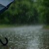たった1mmでも中止に？降水量1mmの体感・スポーツや行事への影響とは